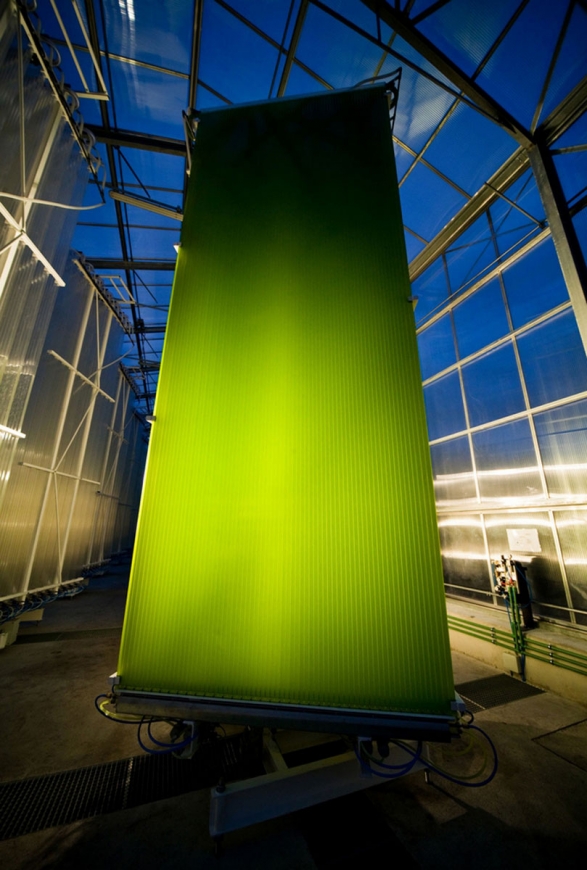 Ecoduna photobioreactor